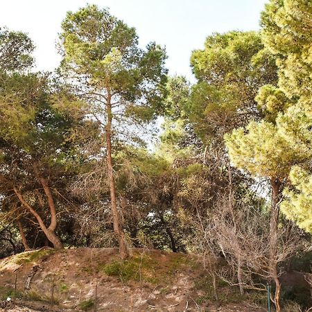 Appartamento Sulla Spiaggia ガリポリ エクステリア 写真